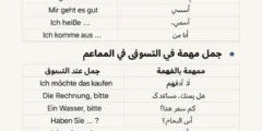 جمل اللغة الألمانية الأكثر استخدامًا للمبتدئين – دليلك للتحدث بثقة